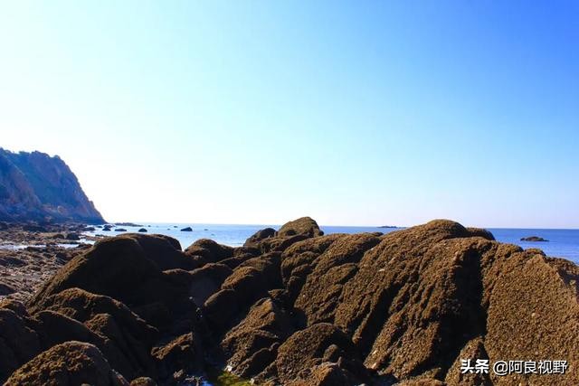 庄河黑岛名人,庄河黑岛沈屯