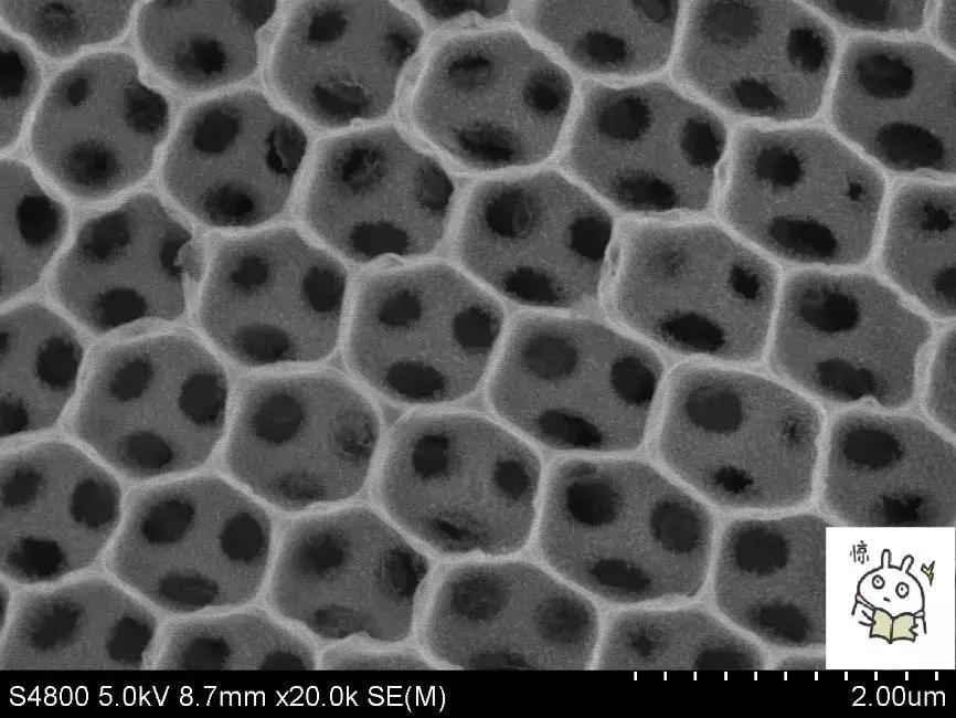 终局之战!!“光影化境”悦昌行杯摄影大赛复赛等你投票~