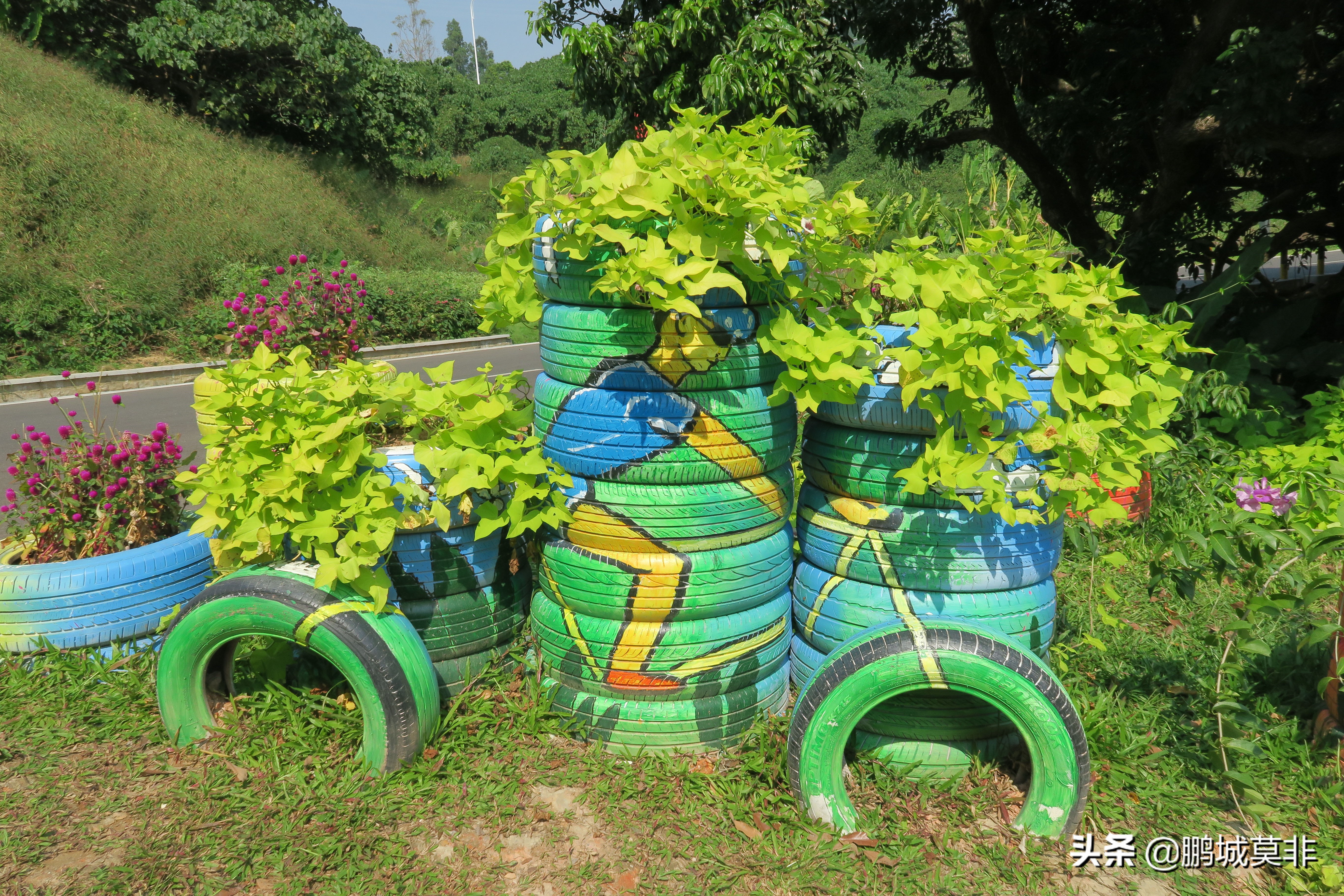 打卡深圳淘金山绿道,网红打卡地深圳流花山公园