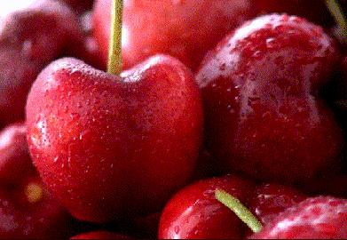 curico智利车厘子,智利车厘子为什么贵