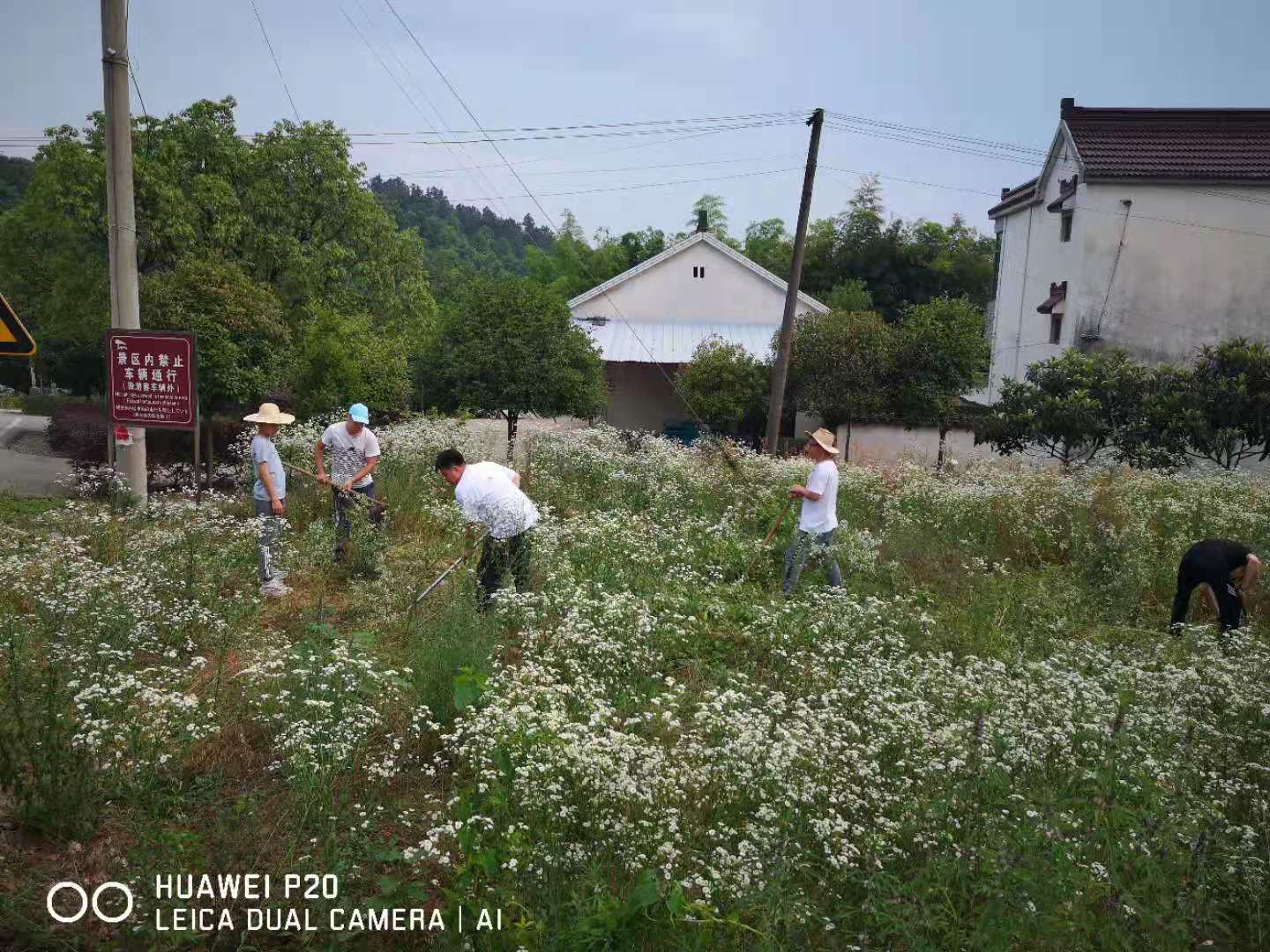 论治是什么意思,论治方法都有几种