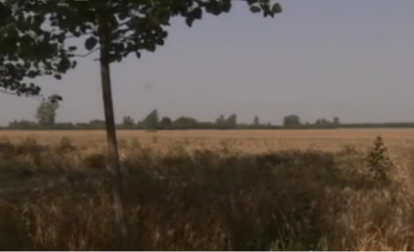 出租司机连环杀人案,90年代出租车司机杀人案