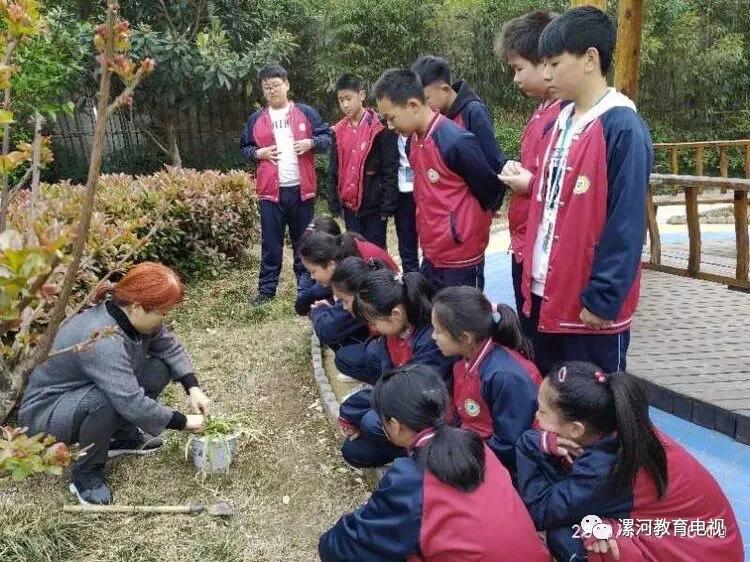 鲲鹏展翅自兹始，鹰击长空助梦飞——奋进中的漯河二中