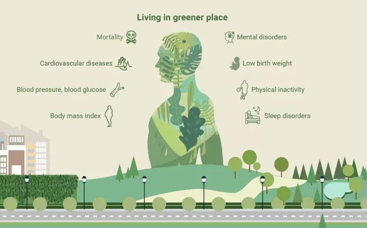 突破血脑屏障,脑科学日报最新消息