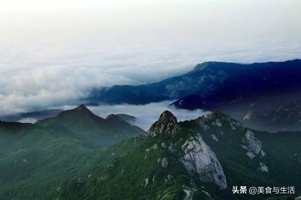 烟台红富士苹果推荐,山东烟台红富士苹果好物分享