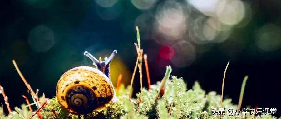 小学生脑筋急转弯搞笑版智商180,100个脑筋急转弯和孩子越玩越聪明