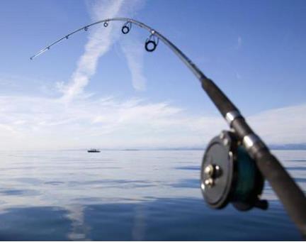 小鱼竿的用法教程,小鱼竿大全