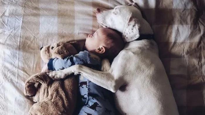 最新广告推荐文案怎么写,创意文案广告投放