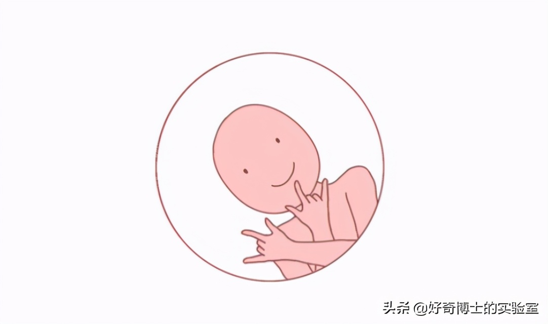 没有人比我更懂原话英文,没有人比我更懂鬼畜原版