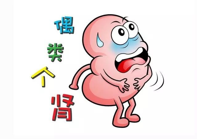 肾虚就是肾功能衰竭吗,肾虚就是血虚吗