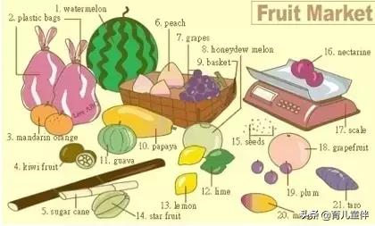34张图让孩子记住英语中所有生活用词！老师惊呼，太值了