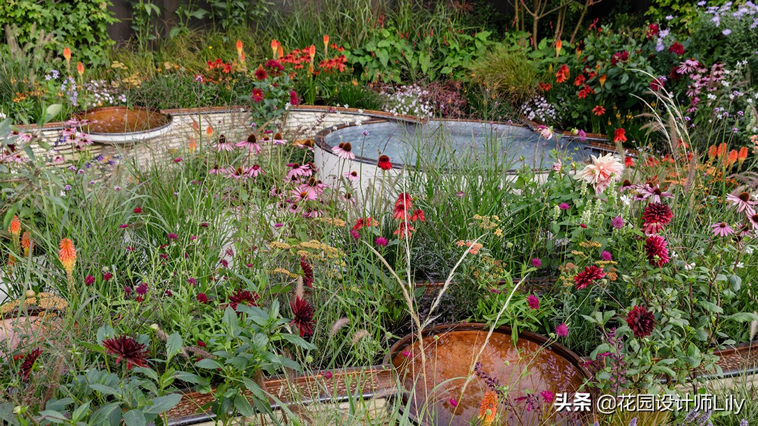 2023年切尔西花展各个花园的介绍,切尔西花展最佳花园
