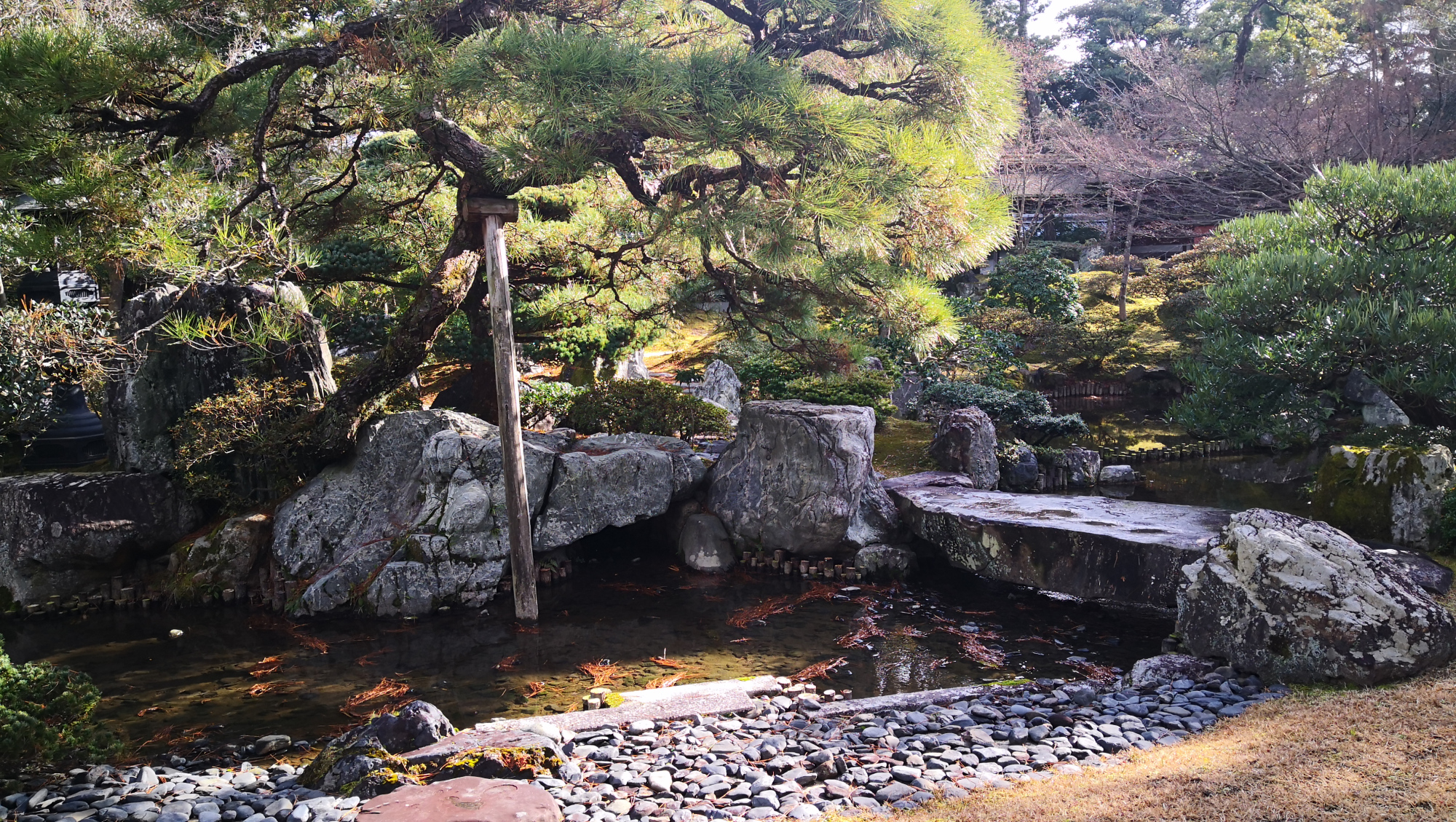 访京都名胜谈芳华变迁,探访日本京瓷