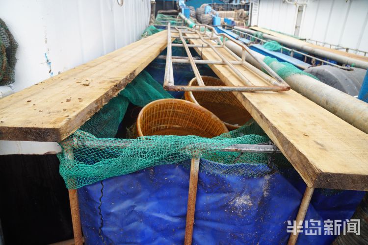 讨海赚钱吗,讨海一天能赚多少