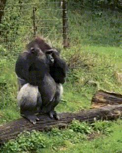 哪种颜色的裤子穿多了会反光,反光裤子在什么情况下反光