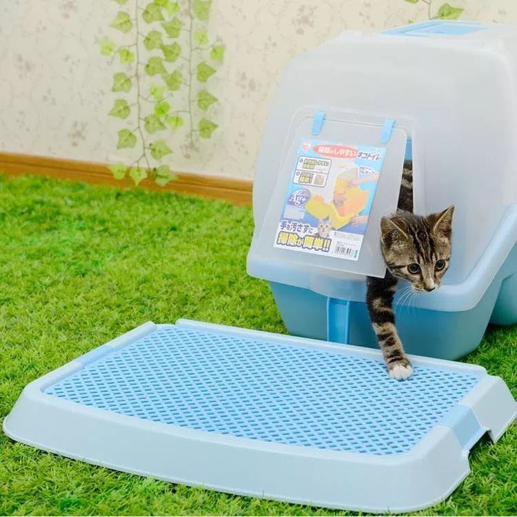 猫咪突然睡在猫砂盆里是什么情况,猫咪突然不在猫砂里尿了怎么回事