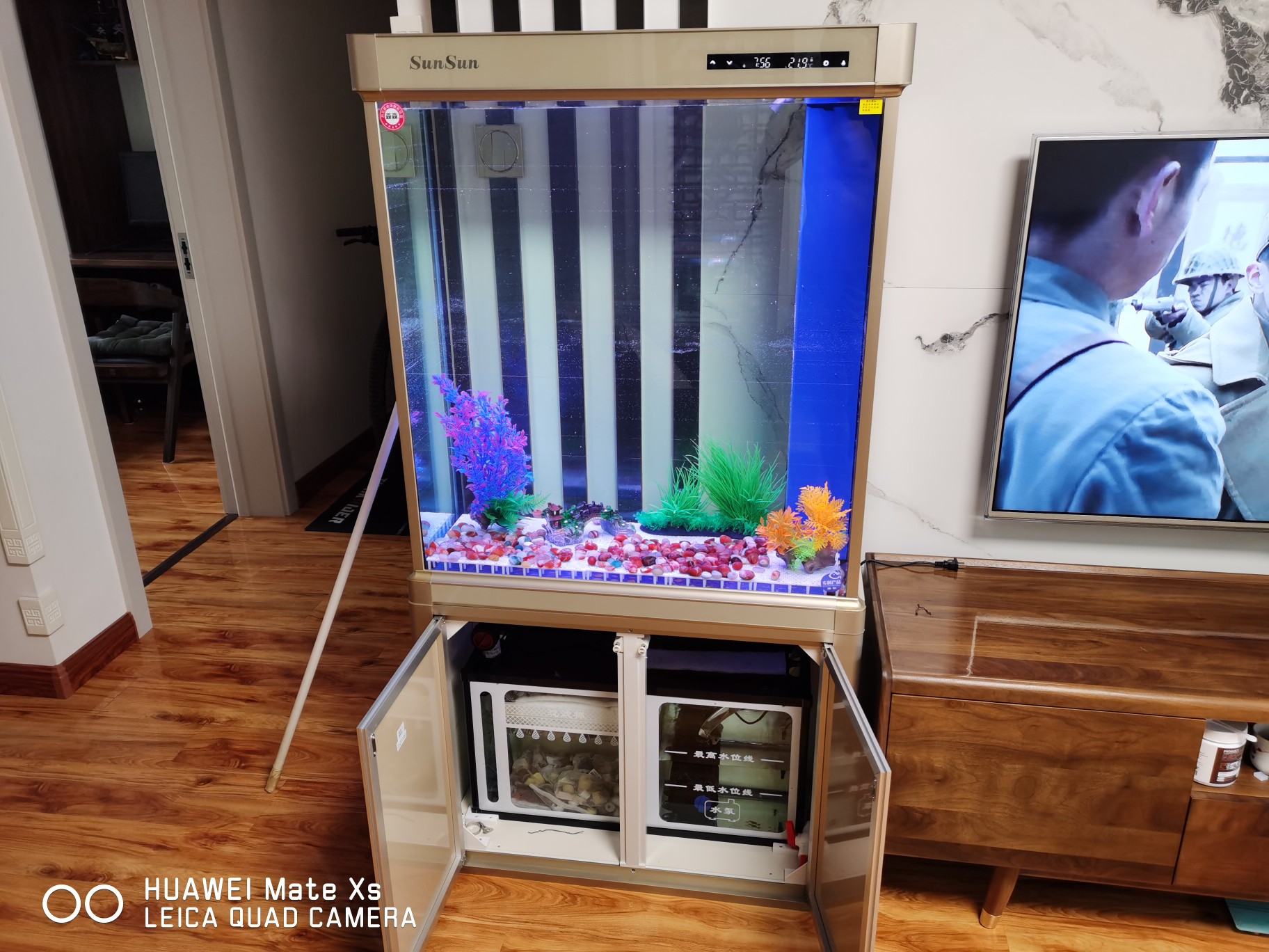 底滤鱼缸里鱼粪排不出去,底滤鱼缸鱼屎吸不走怎么办