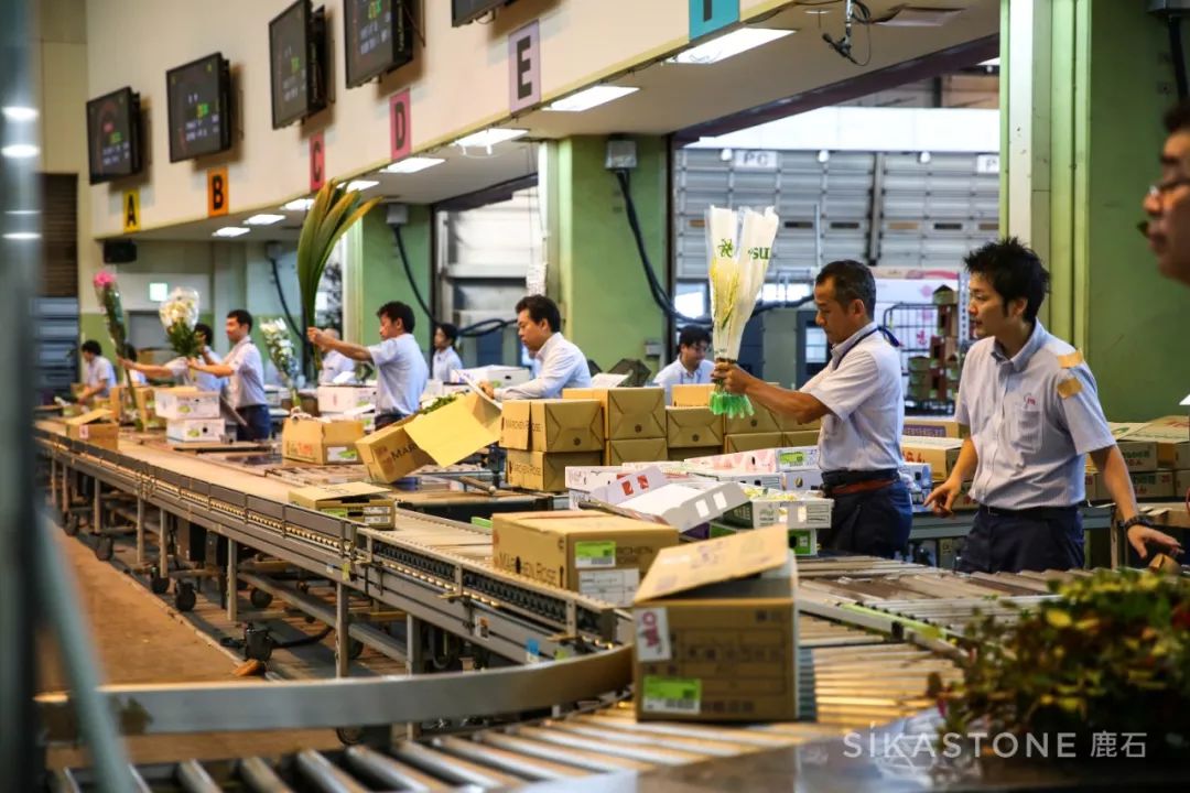 花店不会引流？你将错过50%的订单