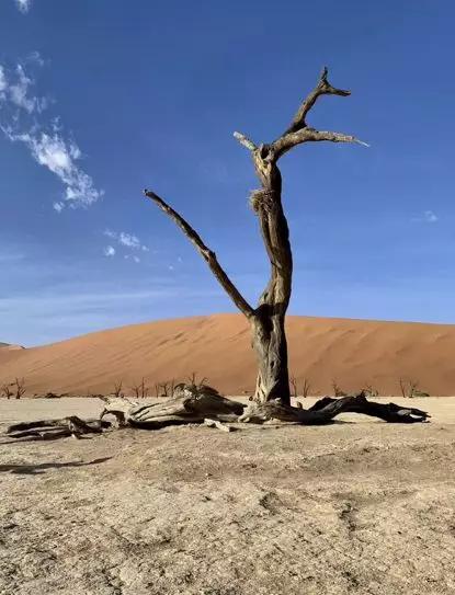 假期撒手没的戏精同事们,竟然在我挤春运的时候吹海风??(下)