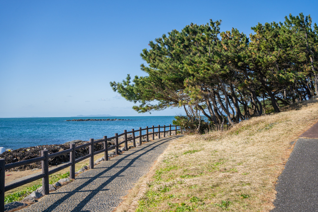 日本九州|一个被温泉唤醒的秘境，超超超小众的日本旅行目的地