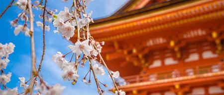 京都风民宿花园,宁波京都风民宿花园效果图