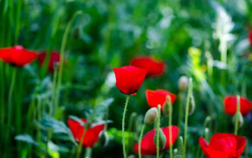 祝福自己生日的唯美句子发朋友圈,立冬的唯美句子朋友圈高质量句子