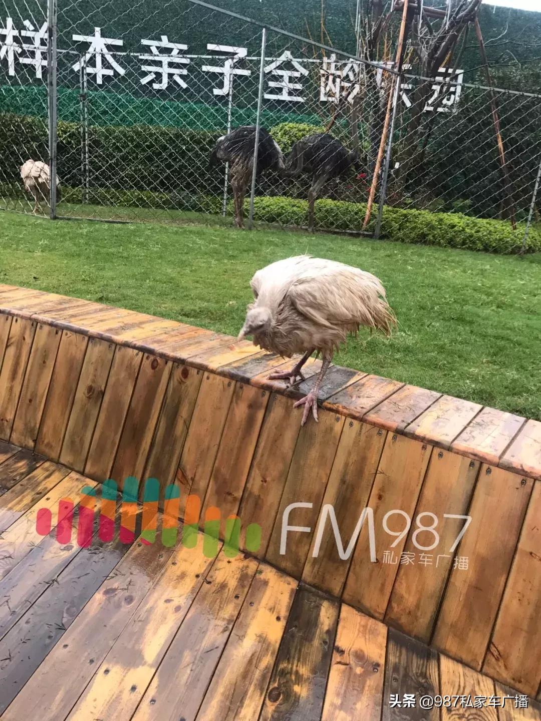 福州梁厝鹿岛公园免费,福建鹿岛公园最新消息