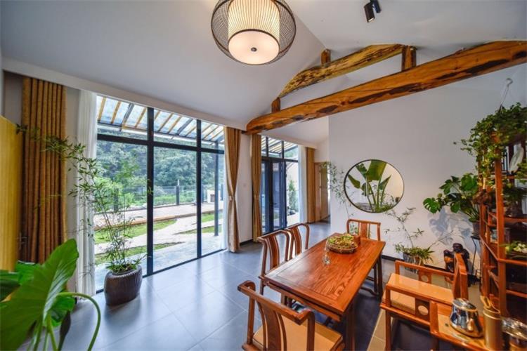 清晨走进森林氧吧呼吸新鲜空气,一起去森林氧吧洗肺