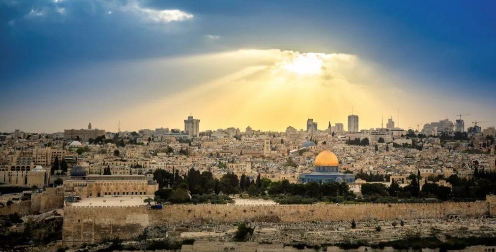 中国人和犹太人的思维,犹太人与中国人的思维区别