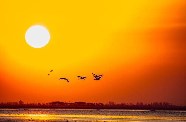 四年级优秀作文我学会了什么300字,四年级优秀作文我学会了什么