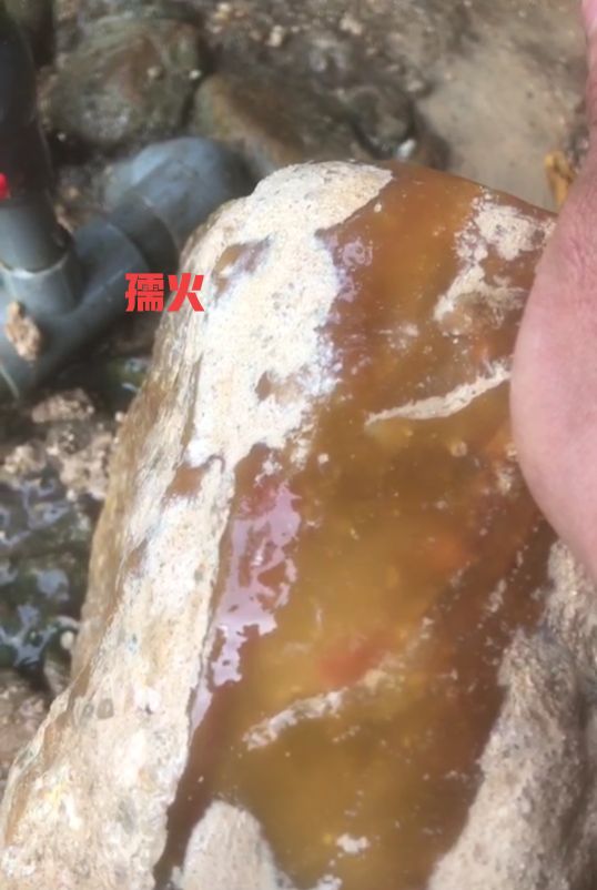 黄蜡石品种与各地叫法,台山黄蜡石出产地