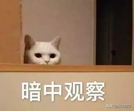 士力架为什么这么火,士力架一些老新品