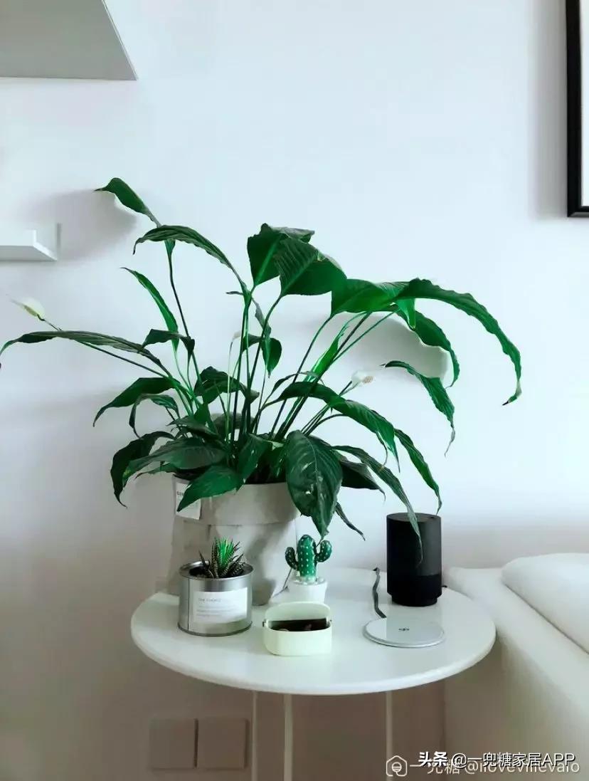 全屋智能家居系统很鸡肋,智能家居真的是鸡肋吗