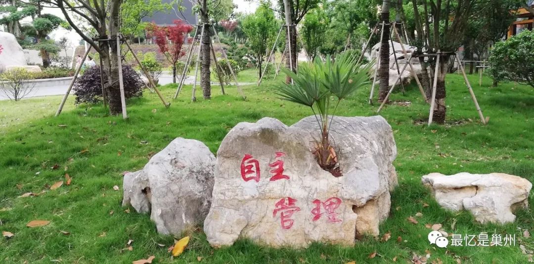 走入初中新校园,巢湖市迈进初级中学