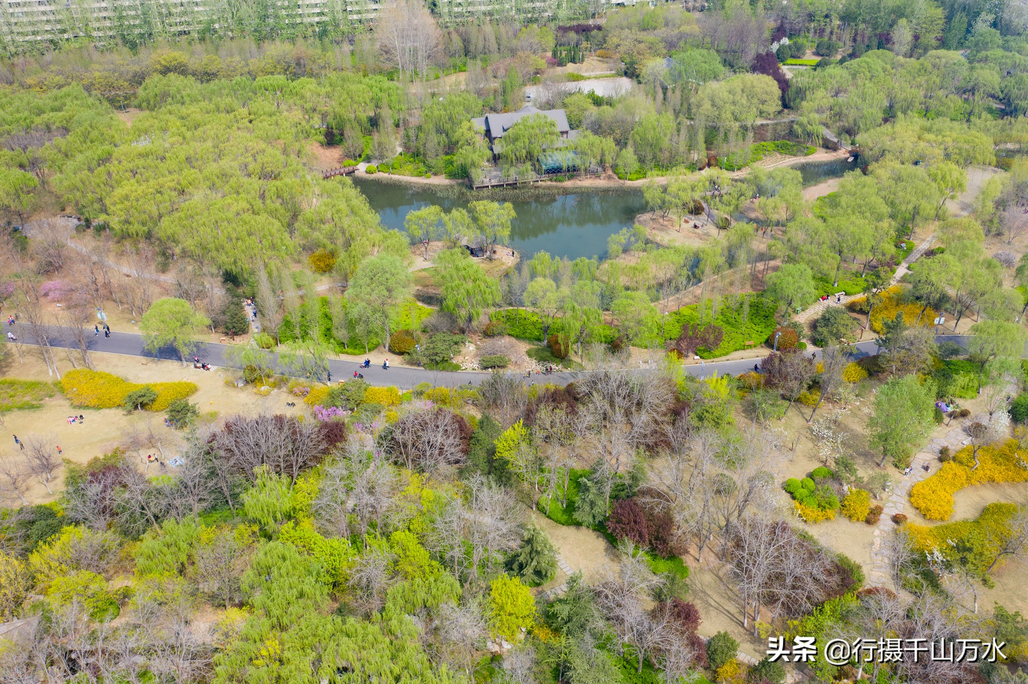 济南免费的森林公园,济南森林公园色彩斑斓秋意渐浓