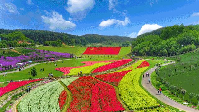 宜昌恩施旅游攻略最佳路线,宜昌至重庆三峡游轮旅游攻略