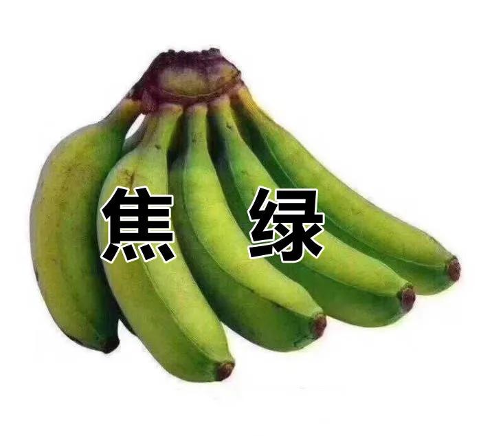 为了绿牌提车的人,为绿码奋斗