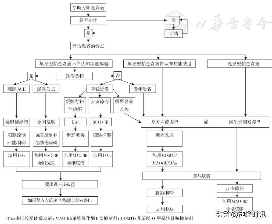 中国帕金森病治疗指南第四版下载,中国最新版帕金森病指南