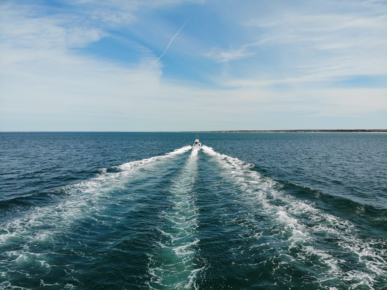 吃货看过来吃葡萄,吃货看过来美食也能开花