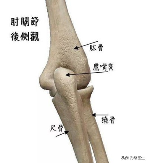 肘关节脱位x片都可以看出来吗,肘关节后脱位的特征表现是什么