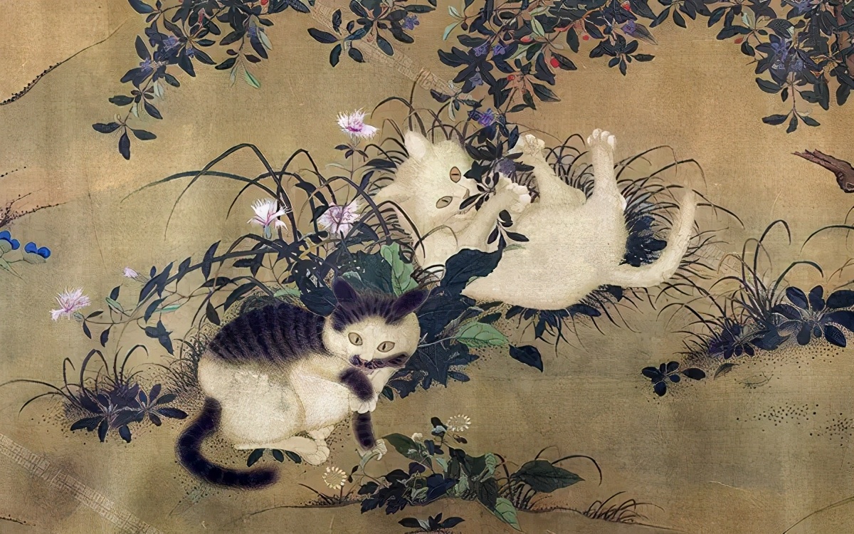 人类对猫的发展史,猫在人类发展历史的地位