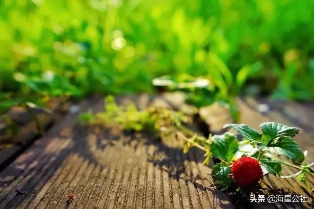 无锡这8大开放式公园高颜值,适合晨夕散步绿荫避暑