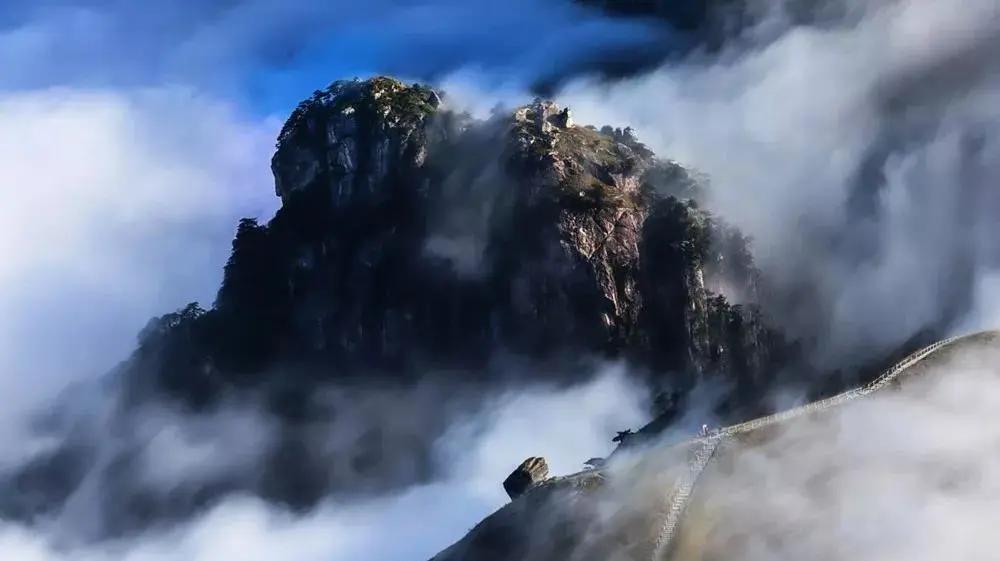 武功山哪种鱼好吃,武功山最好吃的鱼