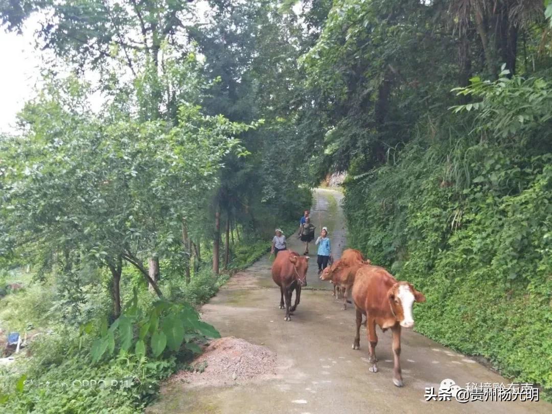 璐靛窞涓栧妗冩簮缇庢櫙,璐靛窞涓栧妗冩簮椋庢櫙