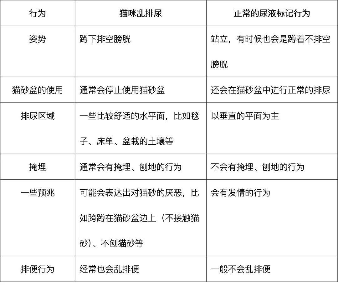 怎么教猫咪不要随地大小便,猫咪突然随地大小便怎么回事