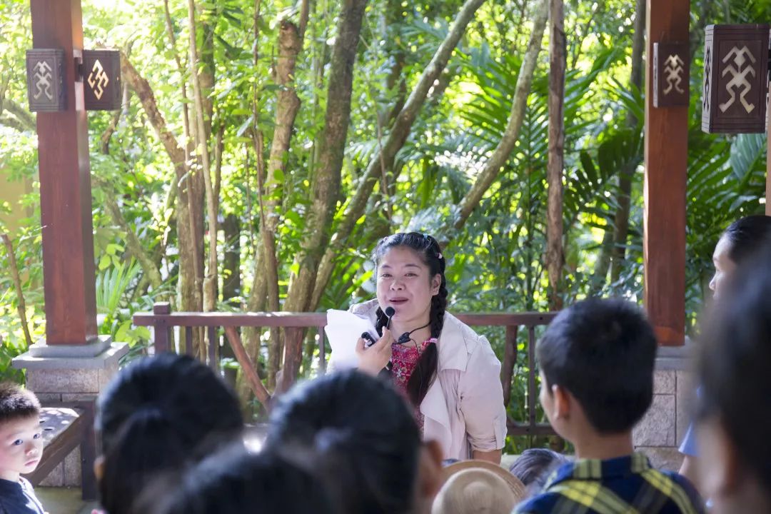 金秋多彩季，春晖幼儿园雨林仙境一日游