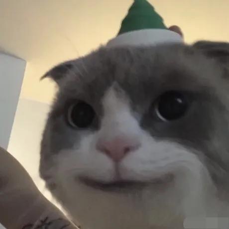 有什么赚钱的App,哪些APP可以挣钱