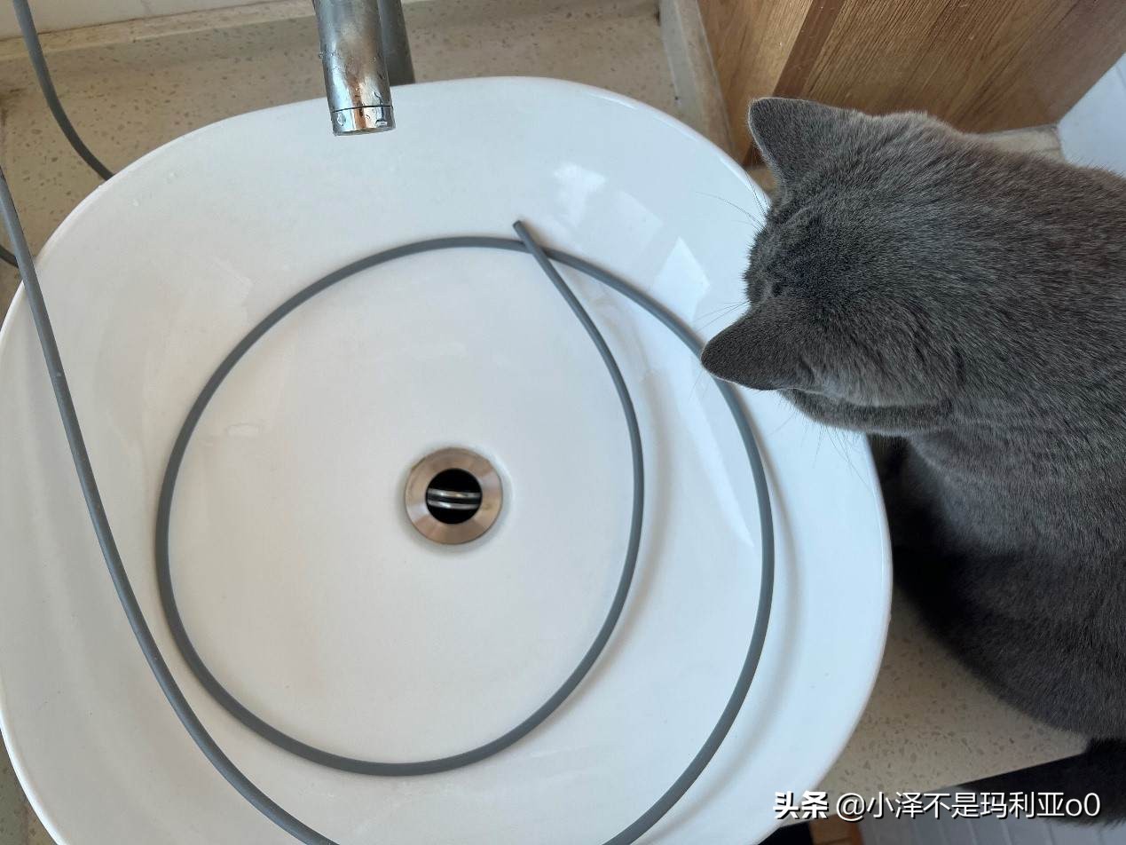 内衣裤专用洗衣机鸡肋,鸡肋的衣服收纳神器