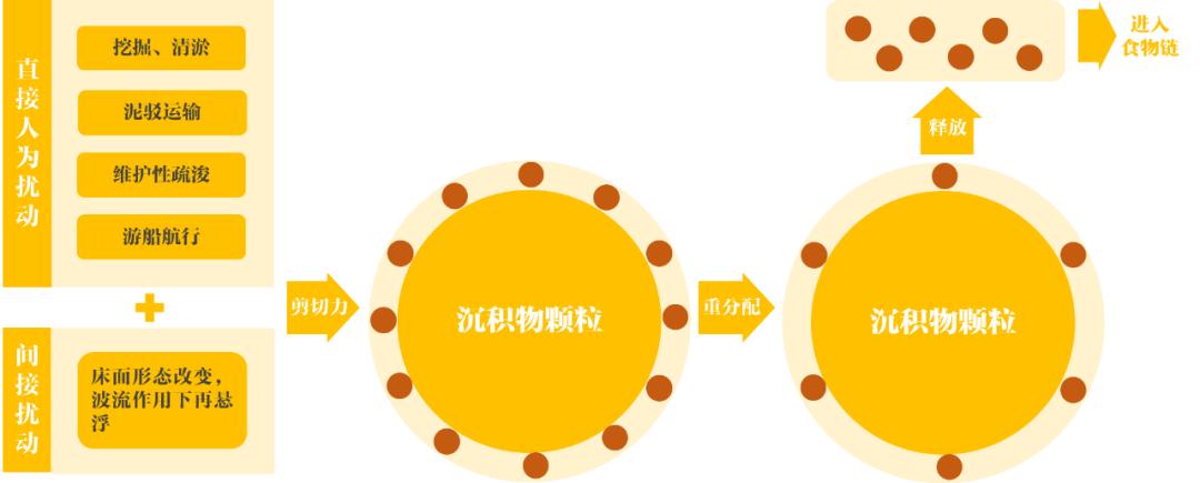 深圳湾在哪里,深圳湾是什么区的