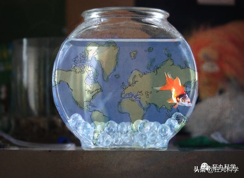 古代人近视怎么办动画,古代人近视了怎么治疗的